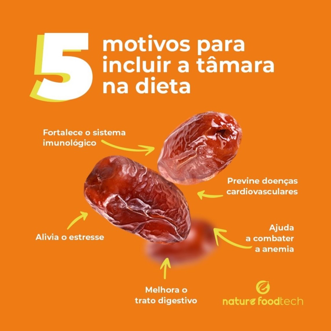 Kit 6X: Alfajor recheado de Tâmara com Cobertura de Chocolate Meio Amargo